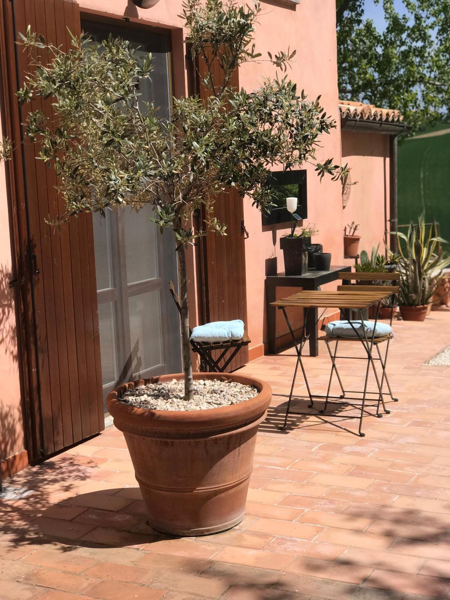 Il Posto Perfetto Bed & Breakfast Santa Maria Nuova  Ngoại thất bức ảnh